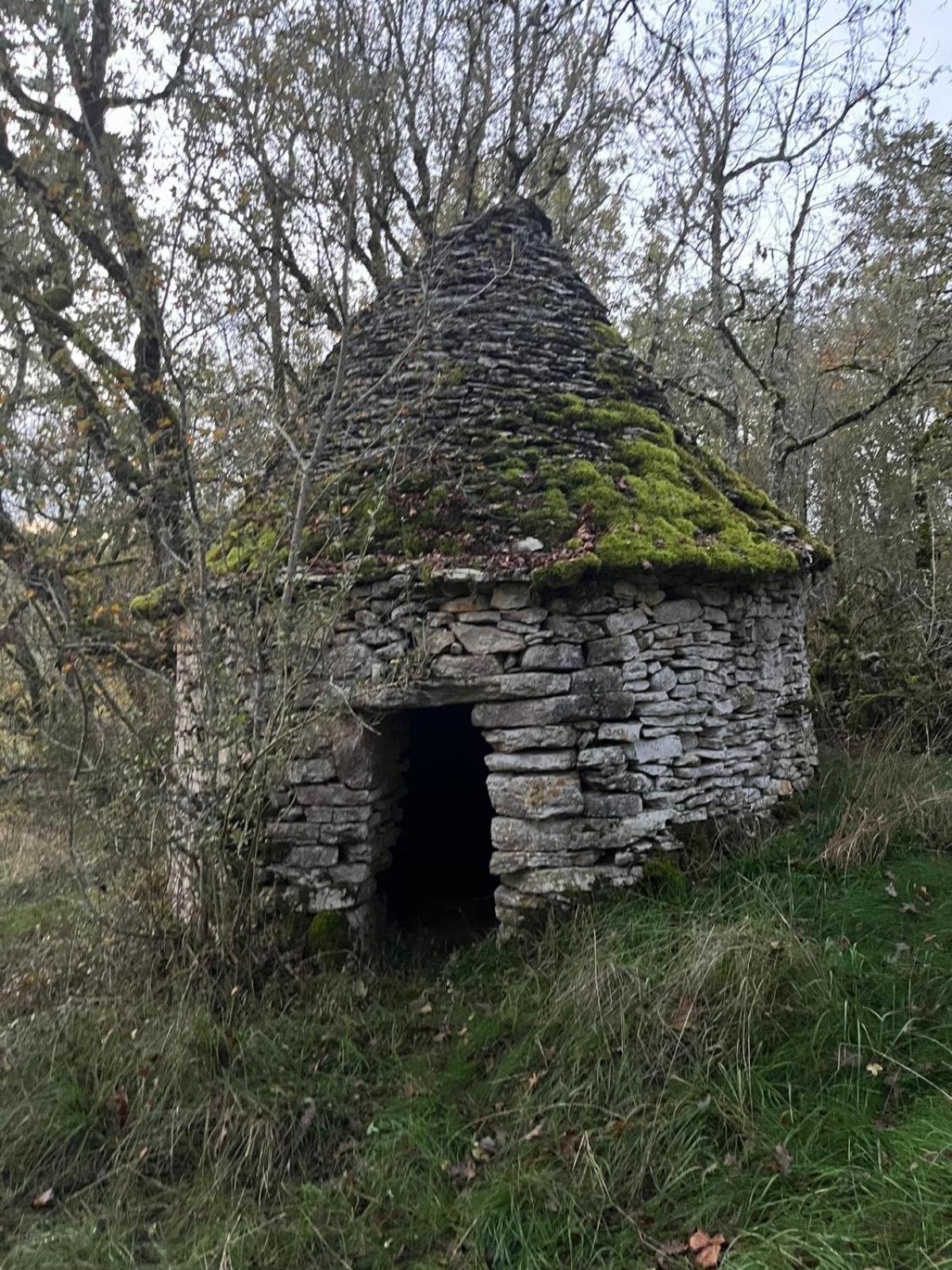 Aux Lodges Du Mas De Nadal Sauliac-sur-Célé Buitenkant foto